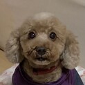 甘えたで一途な女の子♪