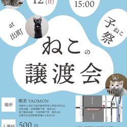 京都　ねこの譲渡会