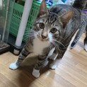 見学可能です☆10ヶ月男の子