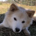 里親さんが決まりました！！