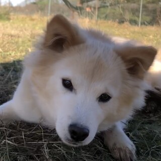 里親さんが決まりました！！