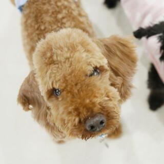 いいご縁に繋がりました