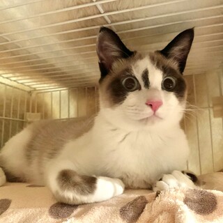 美しい瞳のシャイボーイ♡