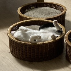 まつりさん、寒がりすぎ