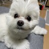 rrr0314さん