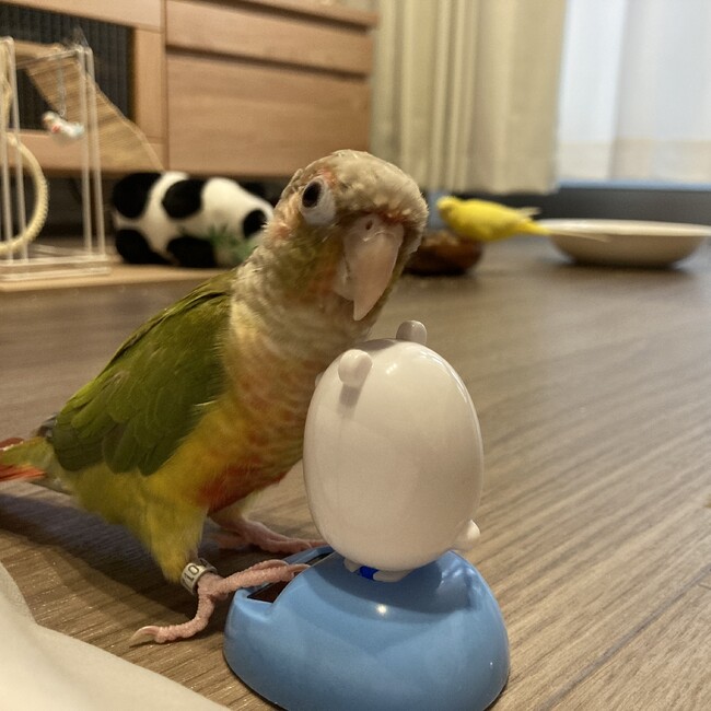natsu_kiiのカバー写真