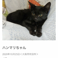 ノア