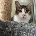面倒見抜群！推定3歳♂