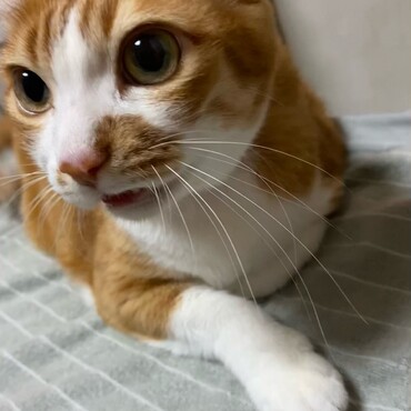 の写真