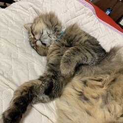 「元気にしてます」サムネイル2