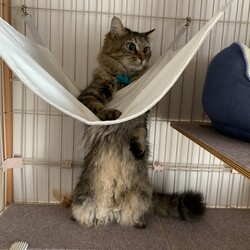 「元気にしてます」サムネイル3