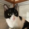 甘えたがり最高潮！8歳♂