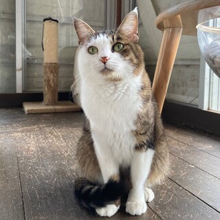 記憶力抜群７歳♀