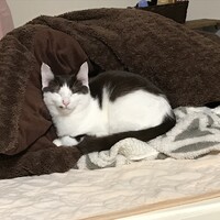 つるまる