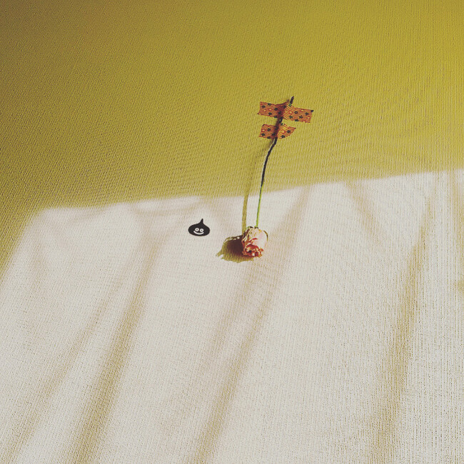 undix87のカバー写真