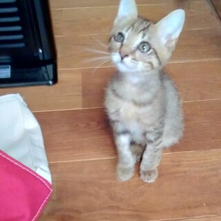 いつもぐるぐる、、♪大の甘えっ子 ♪