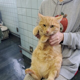 5/18里親さん決定、有り難うございました。