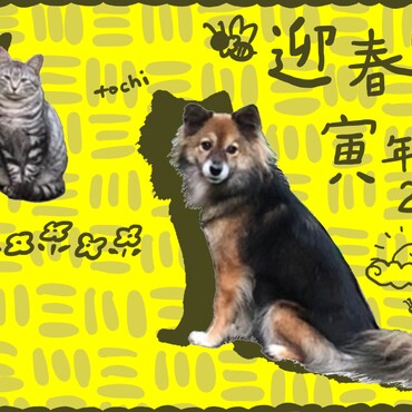 の写真