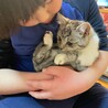 素敵な里親様と出会えました♡すだち サムネイル2
