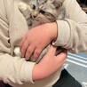 素敵な里親様と出会えました♡すだち サムネイル4