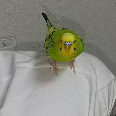 の写真