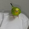 の写真