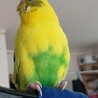 の写真