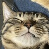 の写真