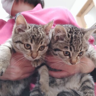 うい＆こいちゃん