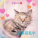 甘えん坊！守ってあげたい！フーちゃん