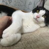 王様かな？