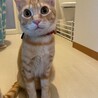 みんばび