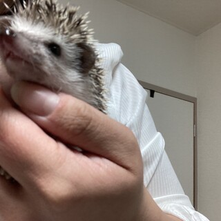 今年の一月に生まれた男の子