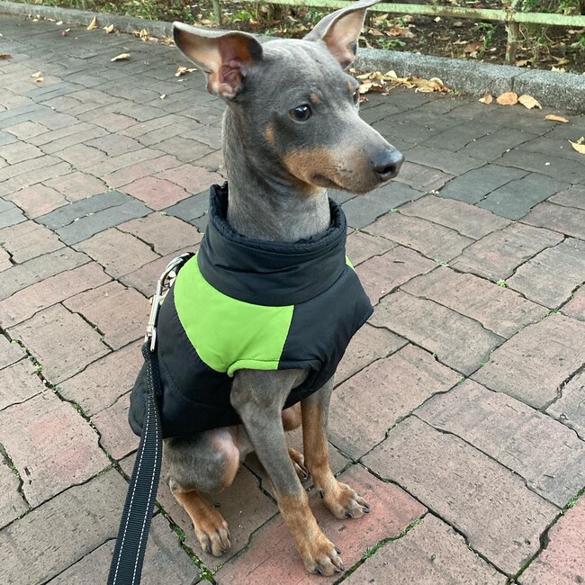 リイトのカバー写真