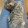 素敵な里親様と出会えました♡すだち サムネイル6