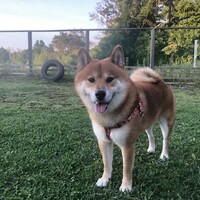 マサムネ
