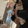 多頭飼育現場より！幸せに結ばれました！ サムネイル2
