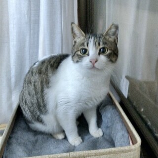 あたちの幸せも掴みたい！ヤングママのふーちゃん