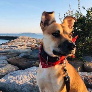 【ありがとうございました】元気いっぱい！ジン君