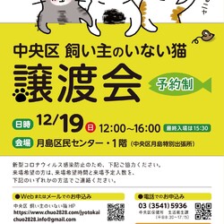 （予約制）飼い主のいないネコの譲渡会