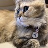 親バカですが、、美形❤️