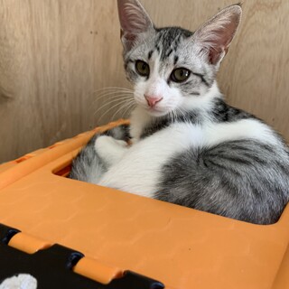 ご縁をお待ちしています