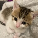 難関を乗り越えて強く逞しく育った照ちゃん♡