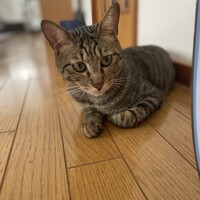 まさと