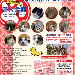 第１８回　保護猫譲渡会in山口県