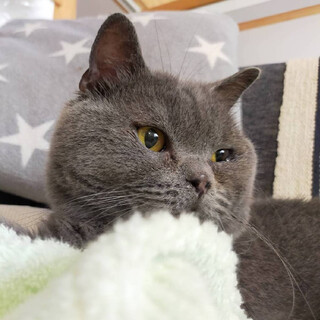 おおらかな男の子　たむ君　推定2〜3歳