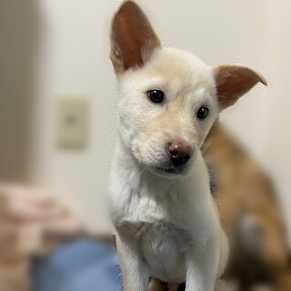 YouTube有り（希望者様ご相談中）