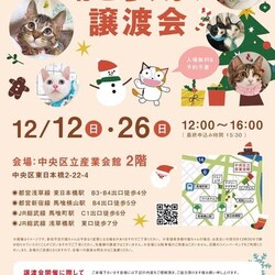 ねこざんまい譲渡会