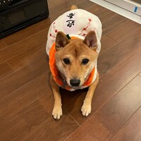 カイ