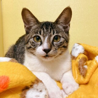 抱っこ大好き❗️甘えん坊しずく君